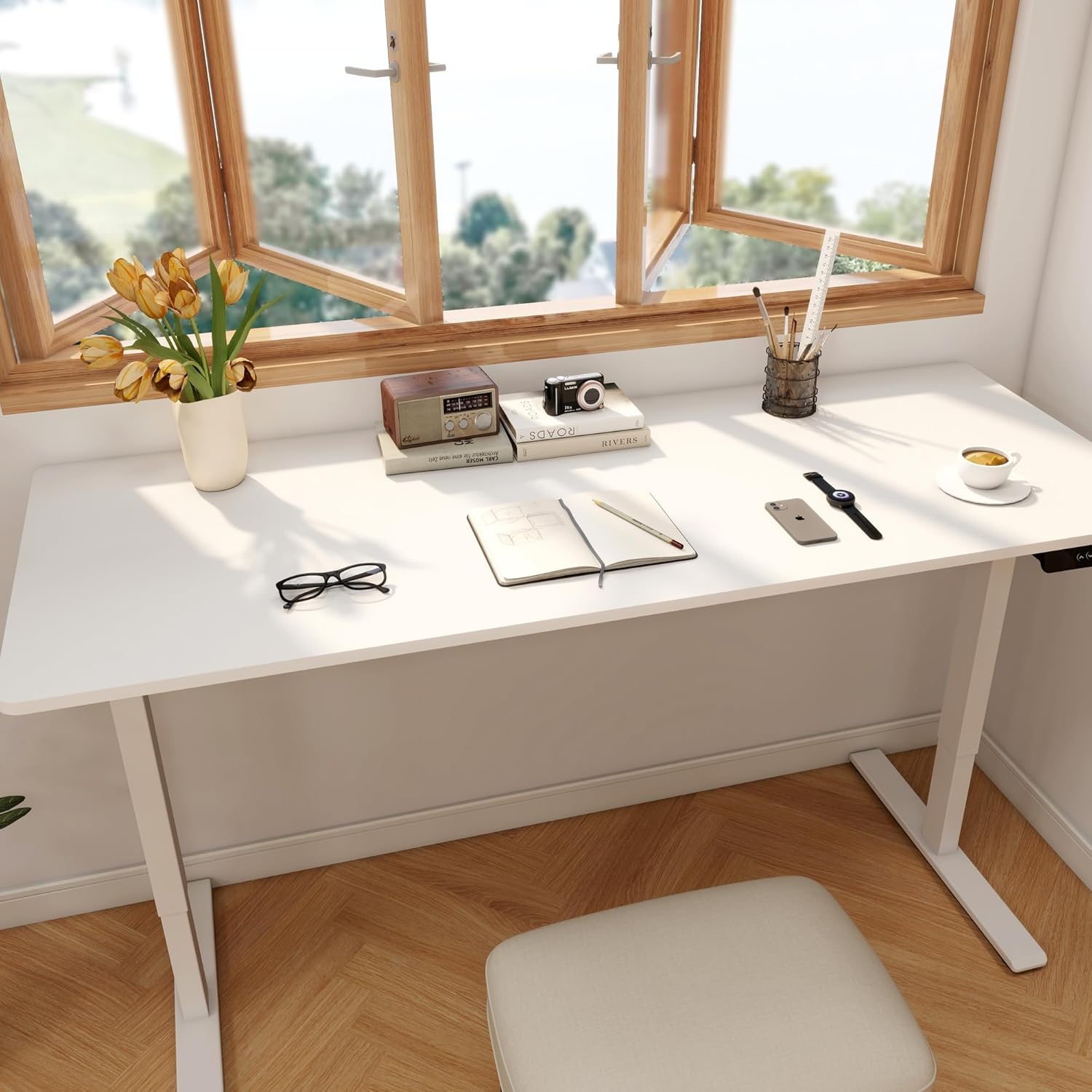 Large Electric Standing Desk w - Desk Setup Dual Monitor recension och pris